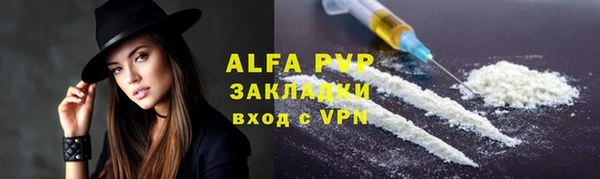 ECSTASY Бородино