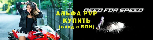 ECSTASY Бородино