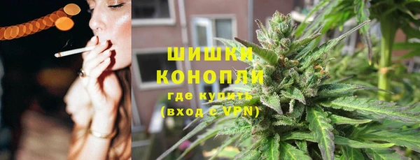 ECSTASY Бородино
