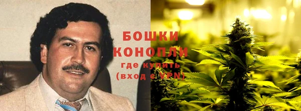 ECSTASY Бородино